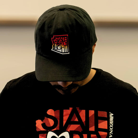 APT + State Forty Eight Sunset Hat